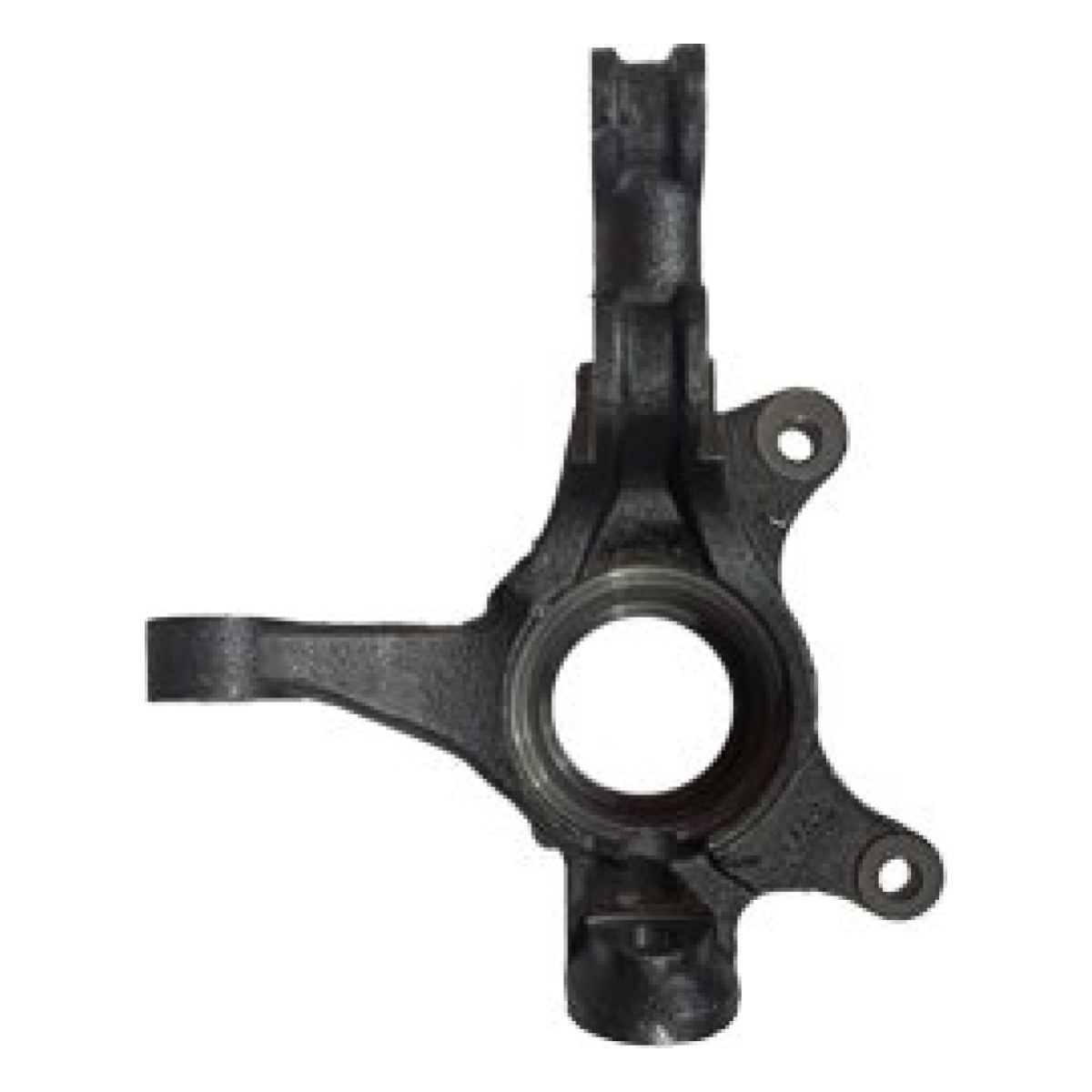 سگدست ( چپ) شاهین